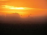 Genießen Sie die traumhaften Sonnenuntergänge auf einer der schönsten Nordseeinseln.