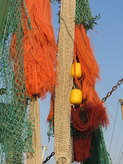 Fischkutter im Pellwormer Hafen